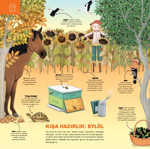 The natural world is waiting for us to notice its beauty.

Even though we are surrounded by concrete walls and asphalt roads, nature is everywhere. A little attention and curiosity is all it takes to 

The Calendar of Nature reveals the colourful awakening of spring, the planting and harvesting seasons, bird migrations and the changing colours of forests throughout the seasons… By doing so, it invites us all to explore the natural world throughout the year.

📕 Title: The Calender of Nature

✍🏼 Author: Fatih Dikmen

🎨 Illustrator: Rukiye Ulusan

📚 Publisher: Taze Kitap Publishing

24 pages

29 x 29 cm

6+

World rights available except Turkish

#nature #foliage #calendar #trees #flowers #seasons #wildlife #lifecycle #worldkidlit